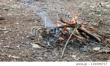Image of a bonfire, to enhance people awareness of forest preservation and environment care. 116499717