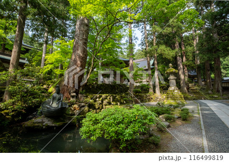 永平寺一葉観音　福井県吉田郡永平寺町 116499819