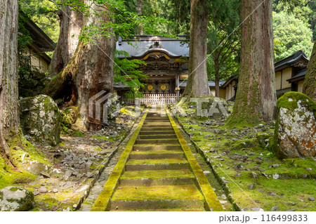 永平寺唐門 福井県吉田郡永平寺町 永平寺唐門 福井県吉田郡永平寺町 116499833