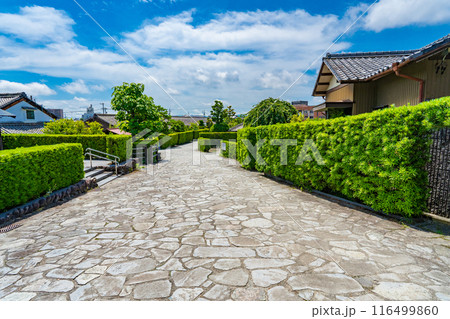 三重県松坂市 御城番屋敷の槇垣と石畳 三重県松坂市 御城番屋敷の槇垣と石畳 116499860