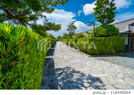 三重県松坂市　御城番屋敷の槇垣と石畳 116499864