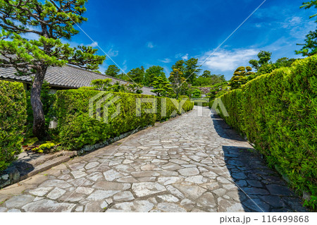 三重県松坂市 御城番屋敷の槇垣と石畳 三重県松坂市 御城番屋敷の槇垣と石畳 116499868