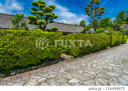 三重県松坂市　御城番屋敷の槇垣と石畳 116499875
