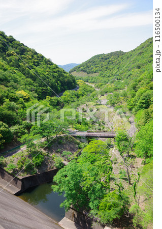 兵庫県淡路島　大日ダム公園 116500134