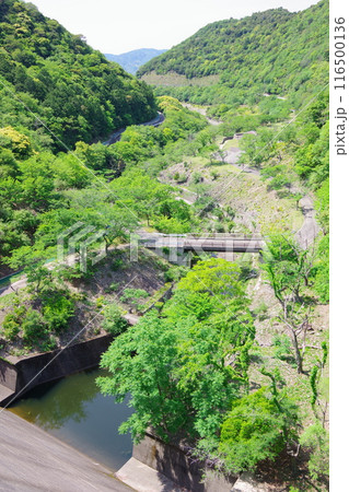 兵庫県淡路島 大日ダム公園 兵庫県淡路島 大日ダム公園 116500136