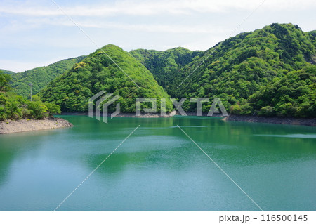 兵庫県淡路島 大日川ダム ダム湖 兵庫県淡路島 大日川ダム ダム湖 116500145