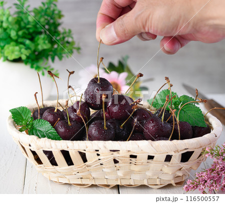 アメリカンチェリー 116500557