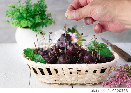 アメリカンチェリー 116500558