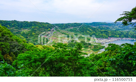 唐津市、大浦の棚田 116500755