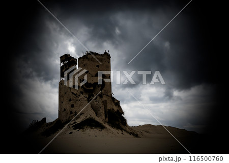 夢破れた砂上の城 夢破れた砂上の城 116500760