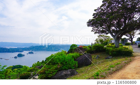 唐津市肥前町のいろは島 116500800
