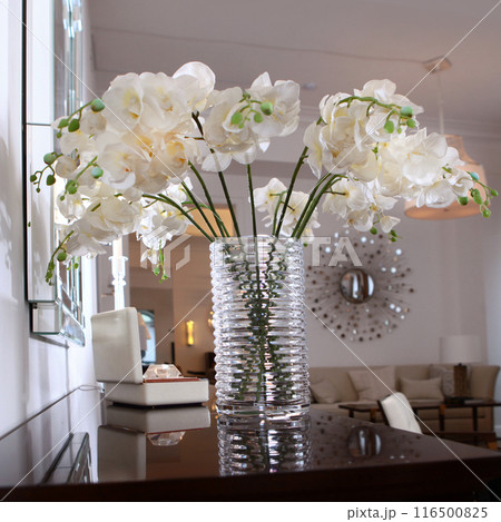 A bouquet of white orchids in the interior. Artificial flowers in a glass vase. A vase with beautiful orchid flowers on the dresser in the living room 116500825