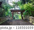 琴弾八幡宮の木乃鳥居 116501039
