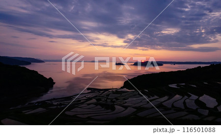 長崎県松浦市の土谷棚田 116501088