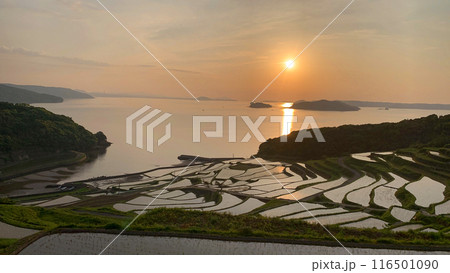 長崎県松浦市の土谷棚田 116501090