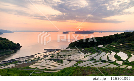 長崎県松浦市の土谷棚田 116501093