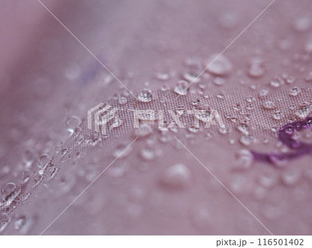 雨の日の傘の表面に付く水滴のマクロ写真 雨の日の傘の表面に付く水滴のマクロ写真 116501402