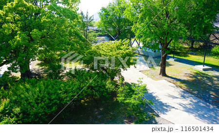 熊本城周辺の様子 116501434