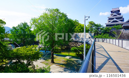 熊本城周辺の様子 116501436