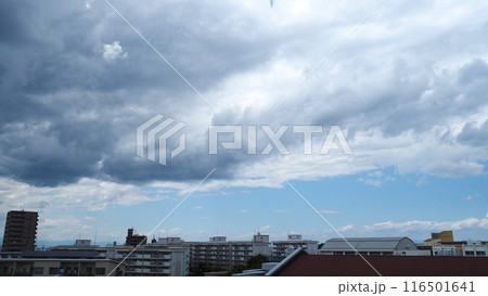 夏の夕方の空の積雲と日本の街並みの風景 116501641