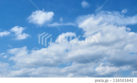 夏の夕方の空の積雲の様子 116501642