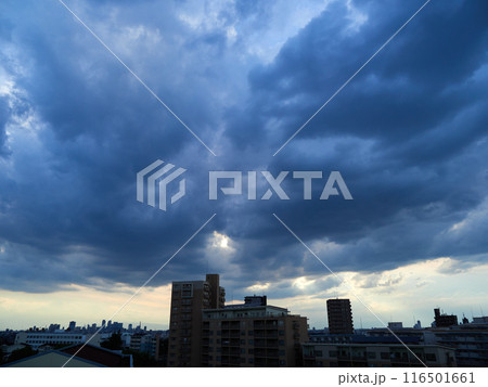 夏の夕方の空の積雲と日本の街並みの風景 116501661