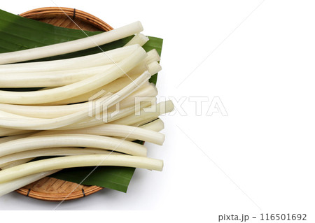 Fresh lotus rootlet on white background. 116501692