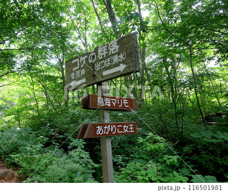 獅子ヶ鼻湿原 秋田県 獅子ヶ鼻湿原 秋田県 116501981