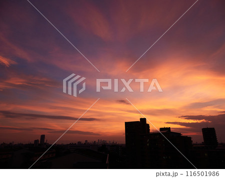 都市上空の綺麗な夕焼けの風景 都市上空の綺麗な夕焼けの風景 116501986
