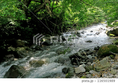 獅子ヶ鼻湿原 秋田県 獅子ヶ鼻湿原 秋田県 116501989