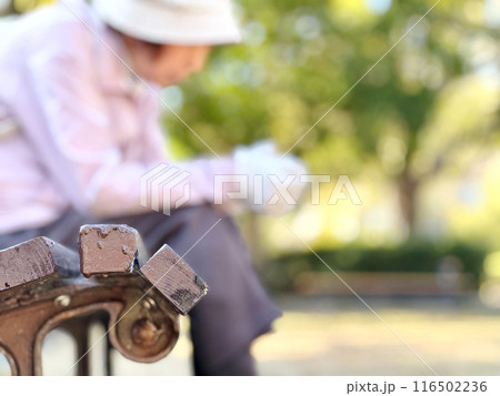 公園のベンチに座っている高齢女性のボカシイメージと右スペース 公園のベンチに座っている高齢女性のボカシイメージと右スペース 116502236