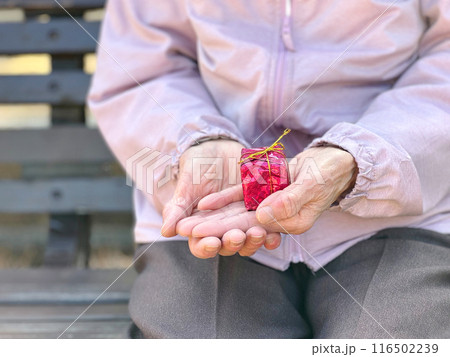 小さなプレゼントを持つ高齢女性の手元_正面 116502239