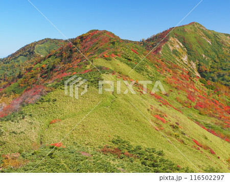秋の白砂山 秋の白砂山 116502297