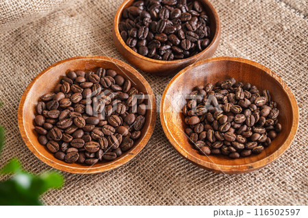 パナマ　モカ　グアテマラ 116502597