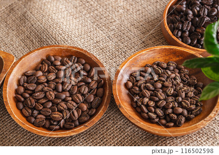 パナマ モカ グアテマラ パナマ モカ グアテマラ 116502598