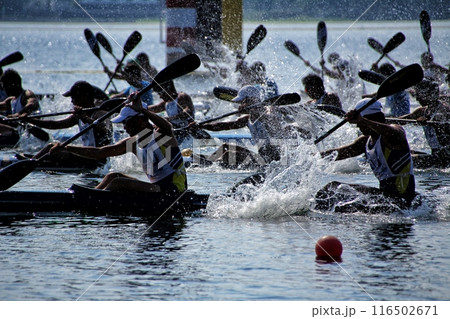 エキサイティング 116502671