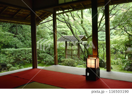 桂春院　侘の庭　書院より 116503190