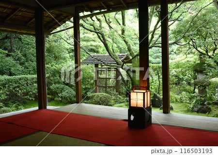 桂春院　侘の庭　書院より 116503193