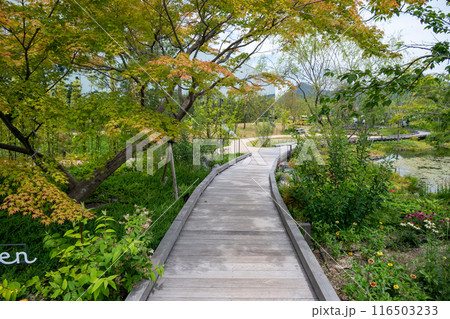 下瀬美術館　エミール・ガレの庭 116503233