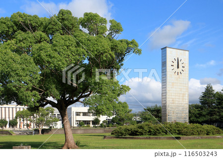 清見台中央公園(木更津市) 清見台中央公園(木更津市) 116503243