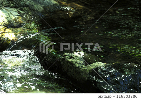 小川の水の流れ 小川の水の流れ 116503286