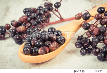 Fresh elderberry containing vitamins and minerals. Healthy nutrition, natural methods of treatment 116503942