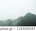 日光の山霧 116504547