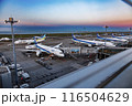 羽田空港第二ターミナル展望デッキより　夕暮れのボーディングブリッジ 116504629