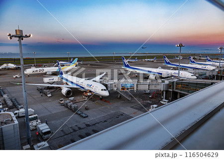 羽田空港第二ターミナル展望デッキより 夕暮れのボーディングブリッジ 羽田空港第二ターミナル展望デッキより 夕暮れのボーディングブリッジ 116504629