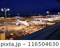 羽田空港第二ターミナル展望デッキより　夜のボーディングブリッジ 116504630