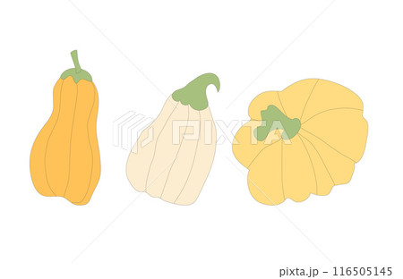 Pumpkins set. Autumn ripe vegetables. Vector outline illustration isolated on white background. 116505145