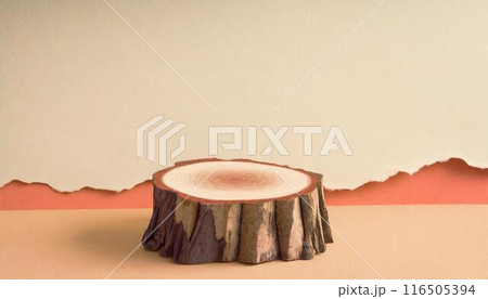 切り株の背景素材（AI生成素材） 116505394