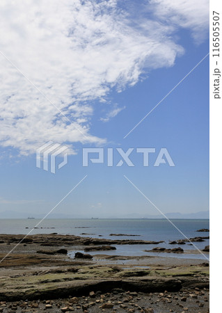 焼野海岸の空と雲 116505507