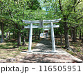 天皇神社（坂出市） 116505951
